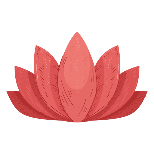 512x512 Lotus Leaf Illustration