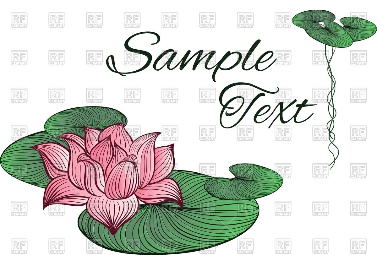 1200x812 Pink Lotus Flower Surrounded