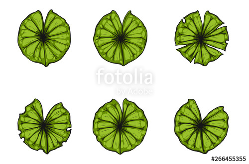500x330 Set Of Lotus Leaf Vector