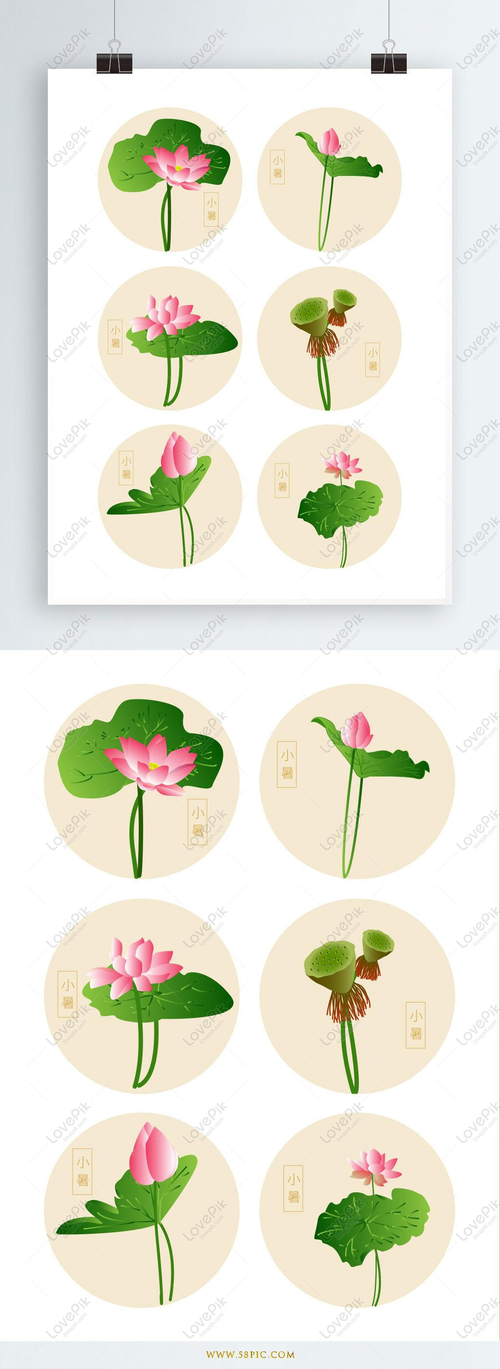 1024x2805 Free Images Download Little Summer Lotus Lotus Leaf