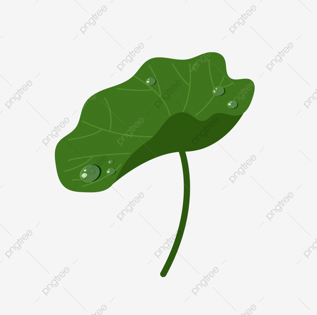 1200x1192 Green Green Lotus Leaf Lotus Leaf Summer, Summer, Summer Holiday