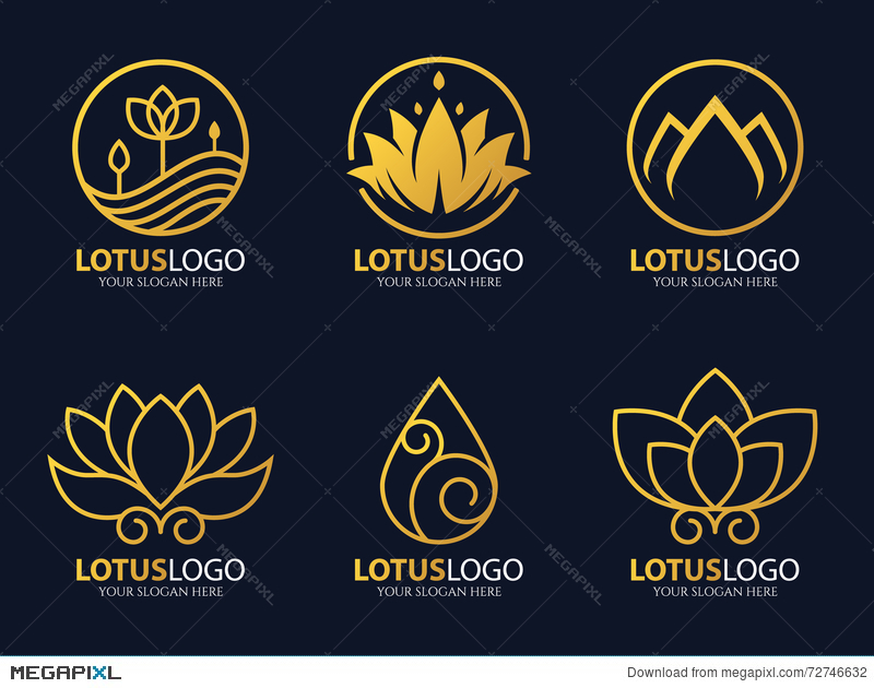 800x630 Gold Line Lotus Logo Vector Art Set Design Illustration
