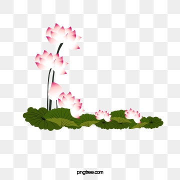 Lotus Png, Vector, And Clipart With Transparent Background 360x360 Lotus Png, Vector, And Clipart With Transparent Background