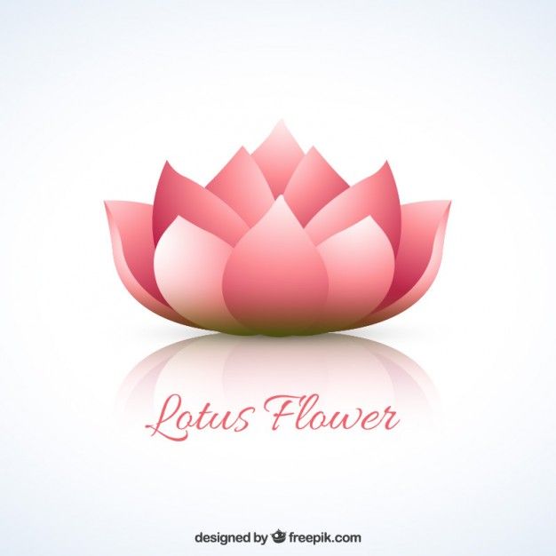 Lotus Flower Vector Free Download Tattoos Art Lotus Vector 626x626 Lotus Flower Vector Free Download Tattoos Art Lotus Vector