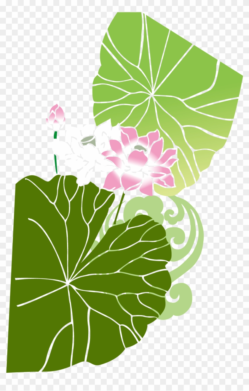Vector Lotus Transprent Png Free Download 840x1321 Vector Lotus Transprent Png Free Download