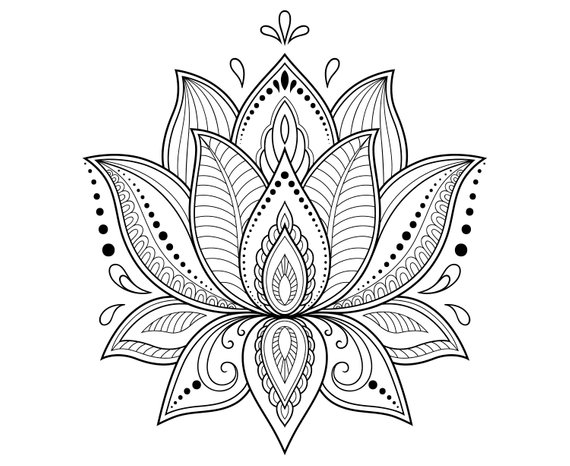 570x466 Lotus Flower, Lotus, Mandala, Zentangle, Silhouette,graphics