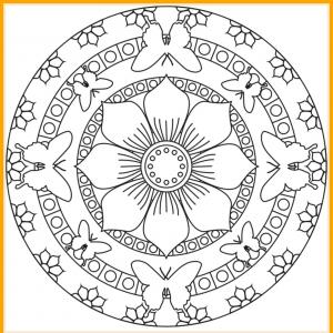 300x300 Flower Mandalas Vector Illustration Gm Studiogrfx