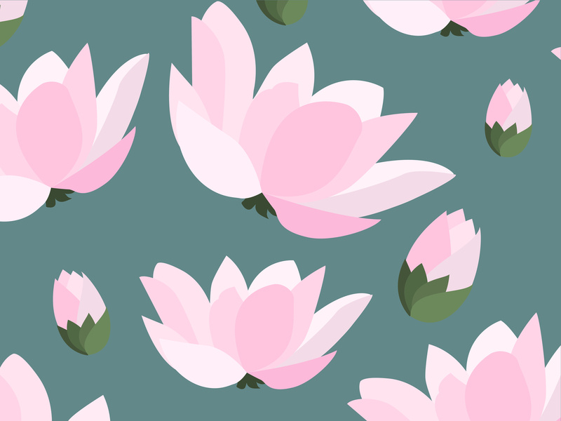 800x600 Lotus Pattern