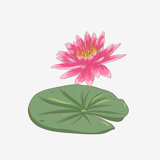 640x640 Lotus Vector Pattern, Pink, Lotus Png Transparent Clipart