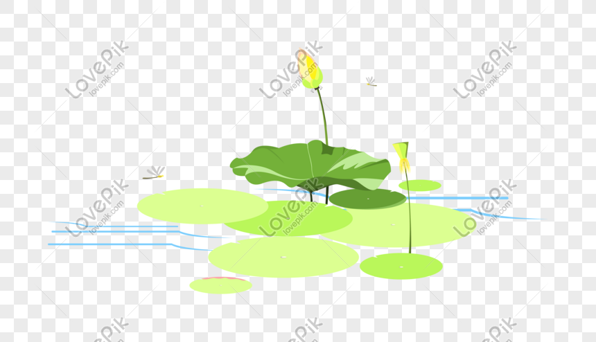 860x494 Lotus Leaf Vector Pattern Png Image Picture Free Download