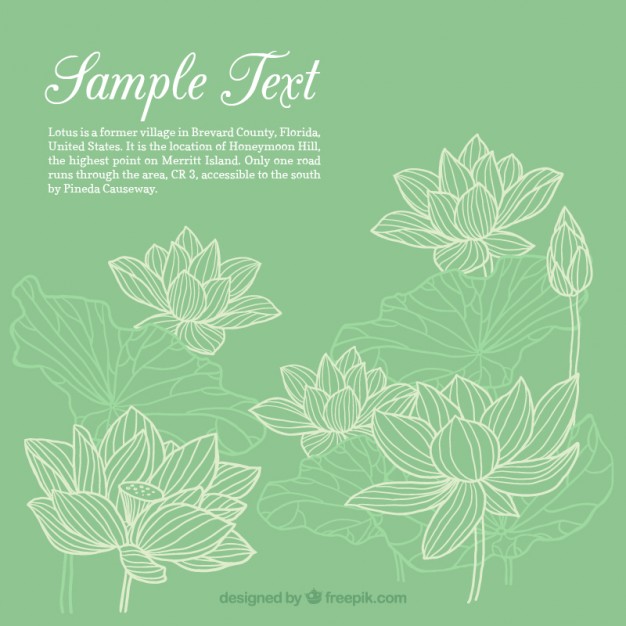 626x626 Nature Lotus Vectors, Photos And Free Download