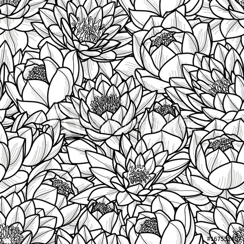 500x500 Random Lotus Flower In Black Outline On White Background Seamless