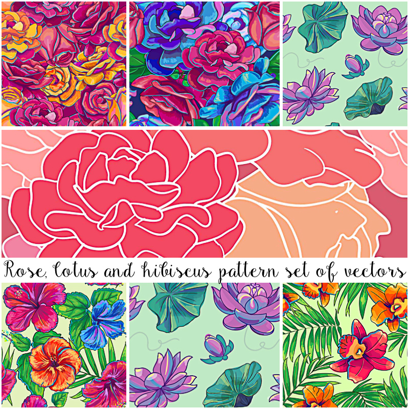 800x800 Floral Patterns Hibiscus And Lotus Vector Set Free Download