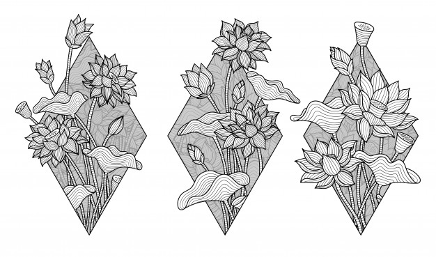 626x369 Lotus Vectors, Photos And Free Download