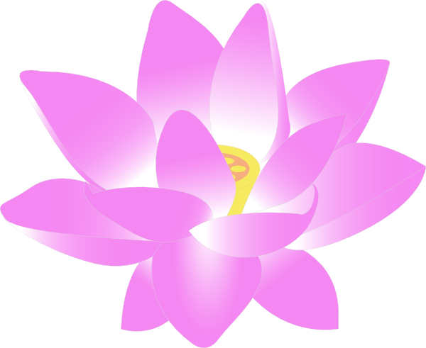 600x491 Lotus Family,sacred Lotus,lotus,petal,aquatic Plant,pink,flower
