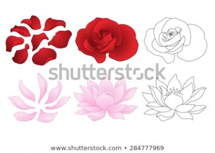 436x310 Lotus Petals Img Pink Lotus Flower Petals Please