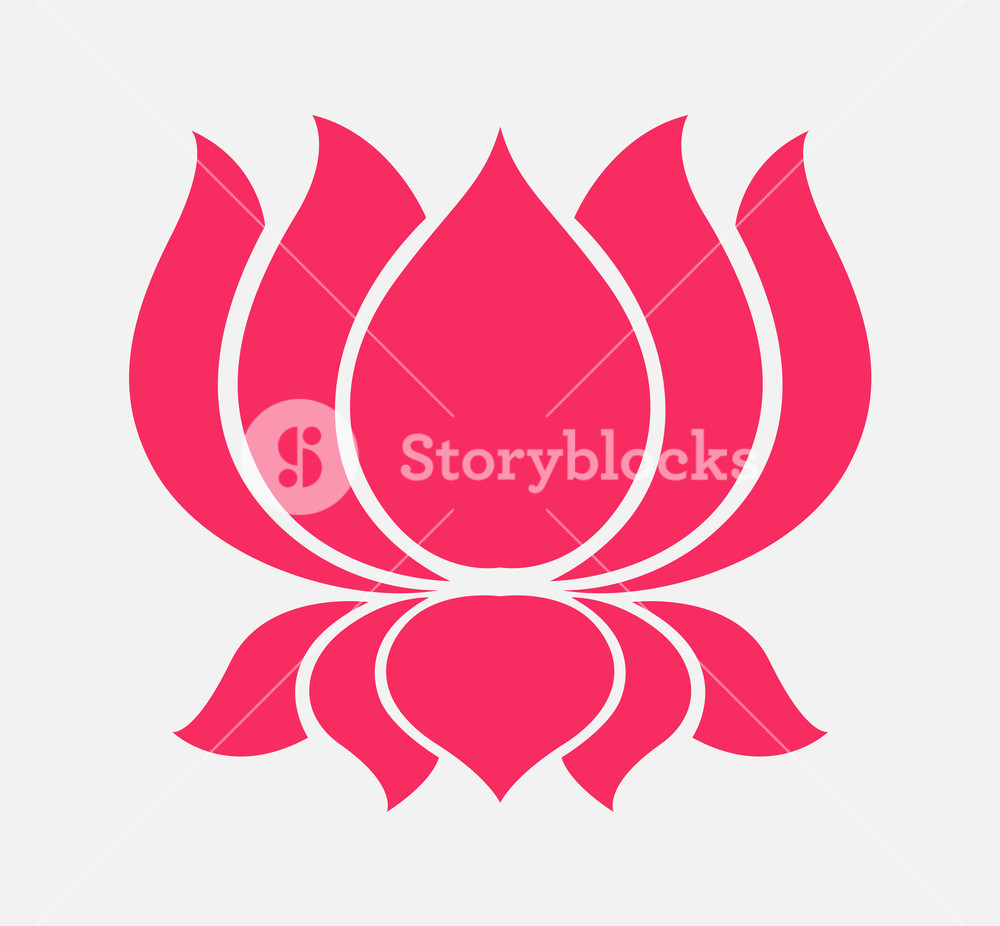 1000x926 Pink Lotus Vector Illustration Royalty Free Stock Image