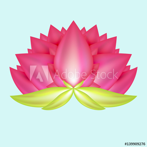 500x500 Abstract Realistic Flower Of Lotus With Light Pink Petals Isolated