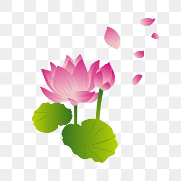 360x360 Free Download Pink And Purple Lotus Petals Png Images, Pink