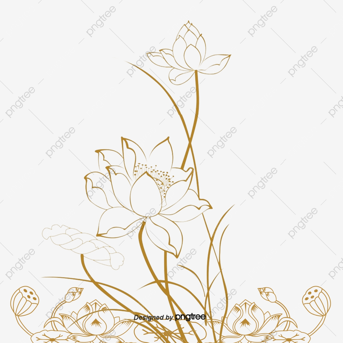 1200x1200 Lotus Vector Artwork, Lotus, Artwork, Vector Png And Vector