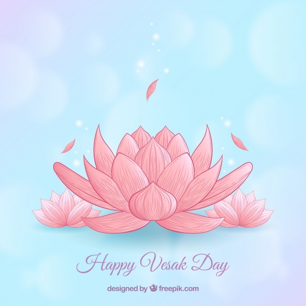 626x626 Lotus Vectors, Photos And Free Download