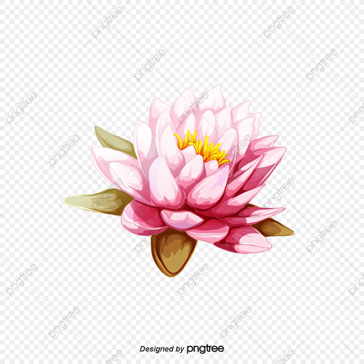 1200x1200 Vector Pink Chinese Flower Lotus, Chinese Vector, Flower Vector