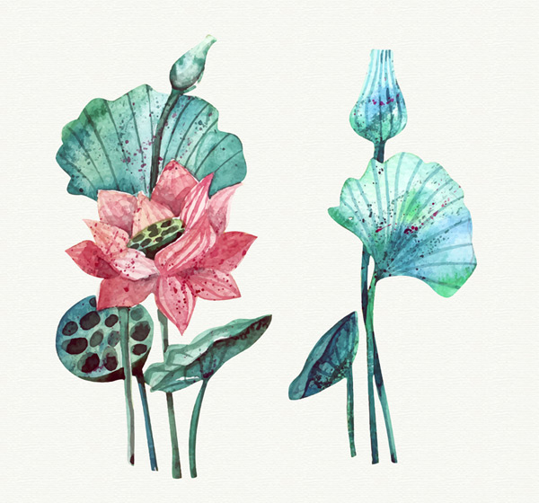 600x560 Water Color Painting The Lotus Vector For Free Download Free