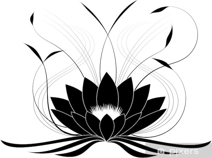 700x521 Black Japanese Lotus