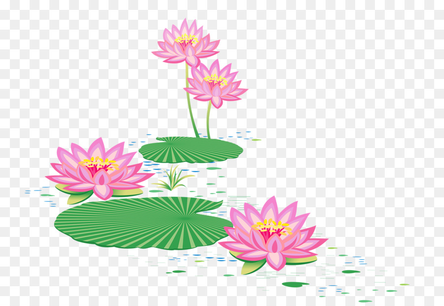 900x620 Download Free Png Floral Design Sacred Lotus Vector Graphics