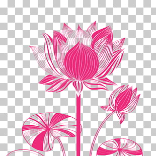 310x310 Lotus Flower Vector Png