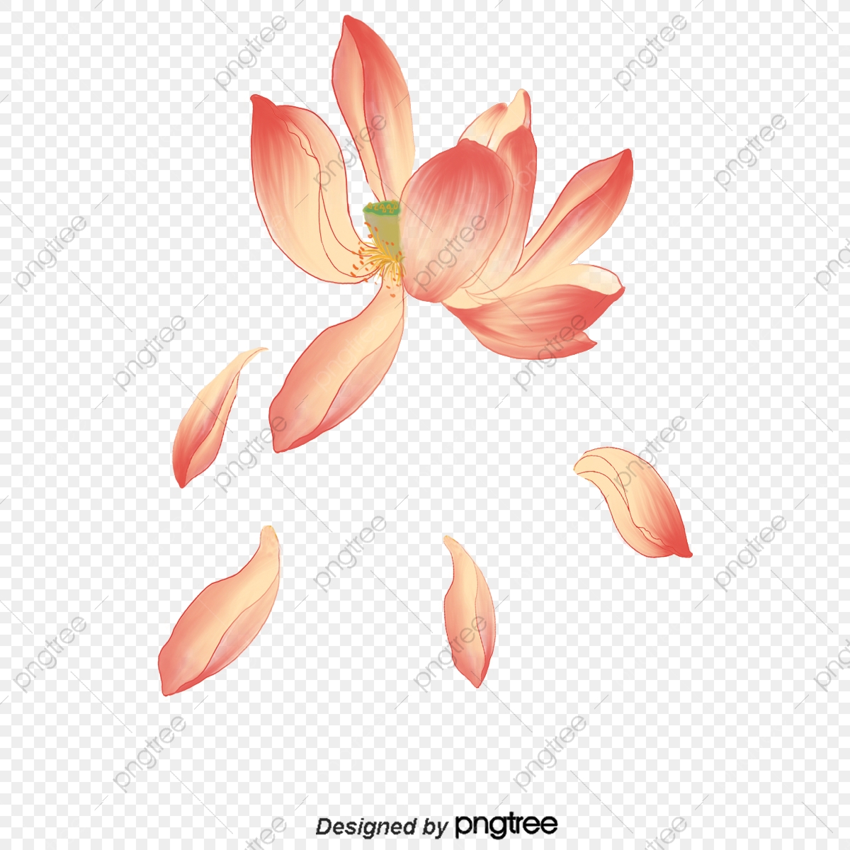 1200x1200 Lotus Vector, Vector, Vector Lotus, Lotus Png Transparent Clipart