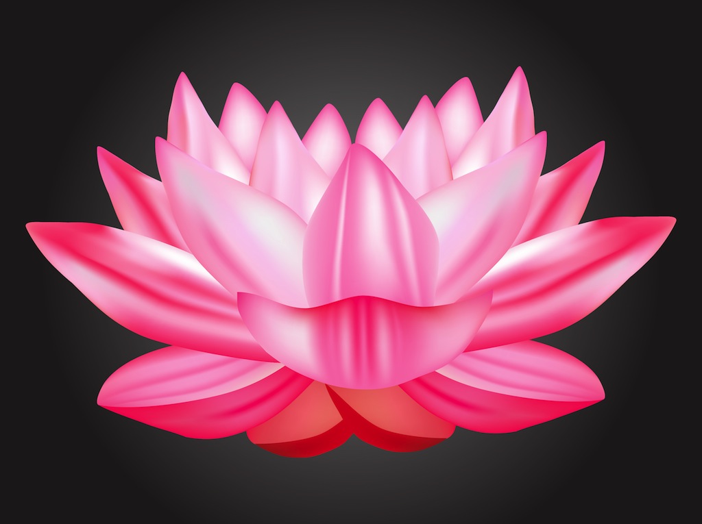 1024x765 Lotus Vector Vector Art Graphics
