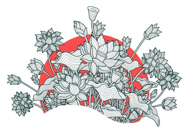 626x441 Lotus Vectors, Photos And Free Download