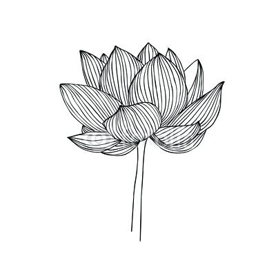 400x400 Free Vector Clip Art Black And White Flowers Water Lily