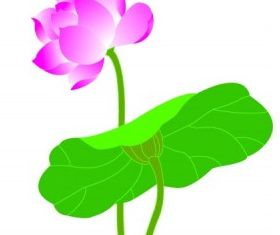 280x235 Lotus Vector