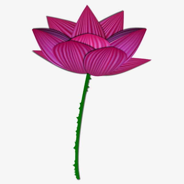 640x640 Fantasy Lotus Vector Free Vector, Free Png, Mother S Day