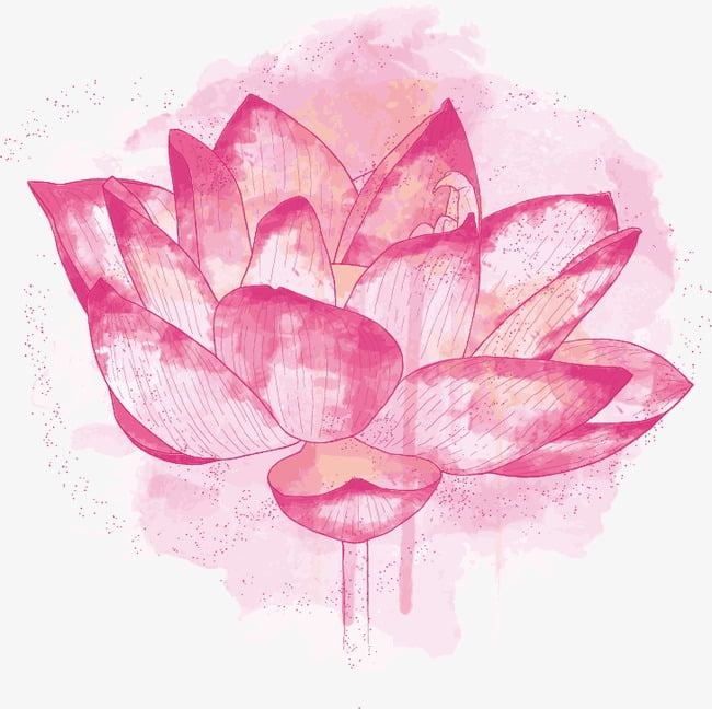650x648 Hand Painted Lotus Vector Free Graphics Uihere
