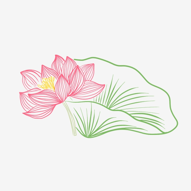 640x640 Line Lotus Vector Material, Line, Lotus, Vector Png Transparent