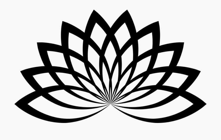 920x583 Lotus Floral Flower Abstract Geometric Line Art