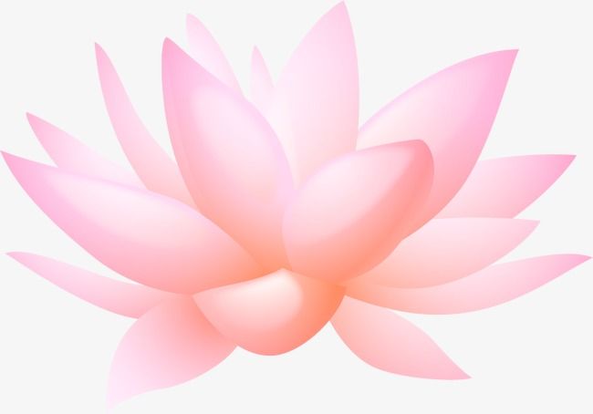 650x454 Lotus Flower Cartoon, Lotus Vector, Flower Vector, Cartoon Vector