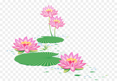400x276 Lotus Png