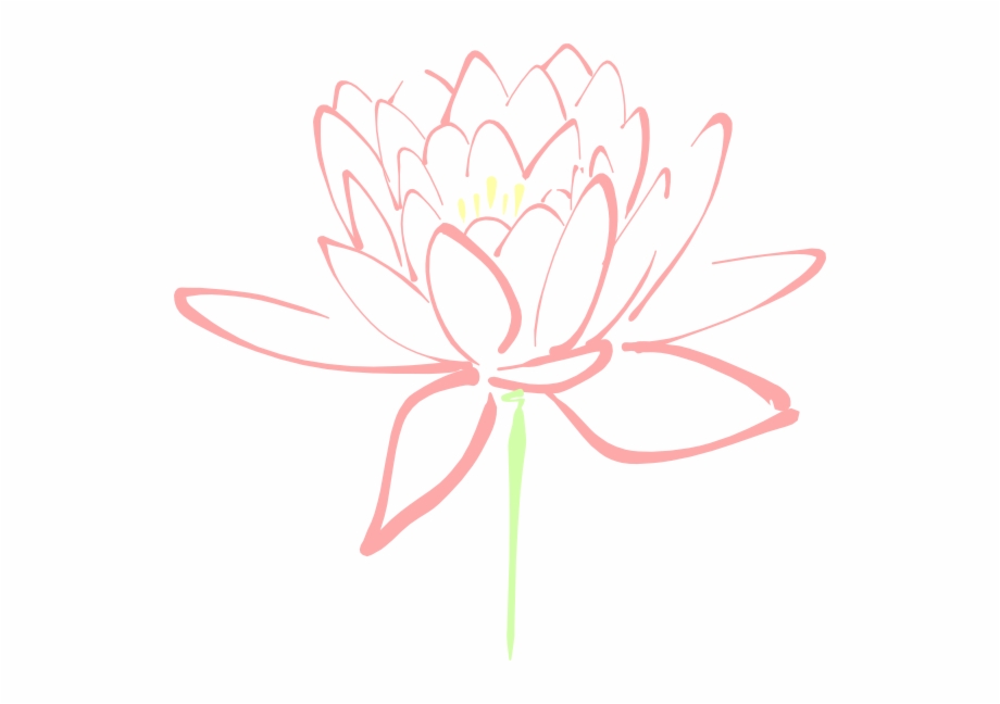 920x648 Lotus Png