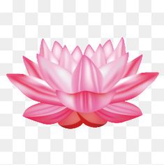 235x236 Best Lotus Vector Images In Lotus Tat, Blossom Tattoo