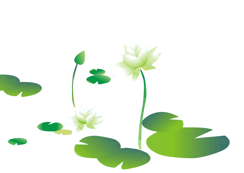 1024x725 Lotus Vector Png Images In Collection