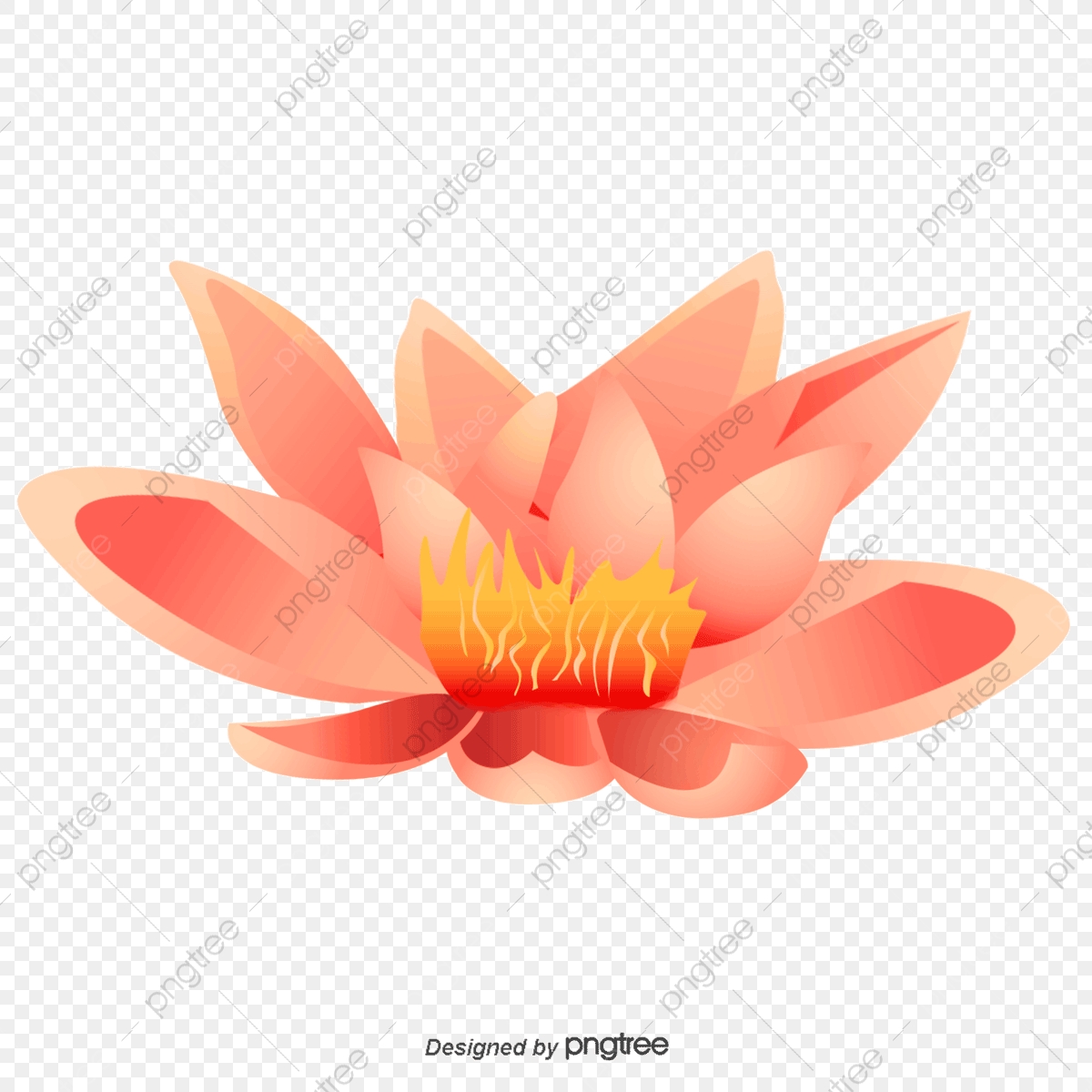 1200x1200 Blooming Lotus Pink Water Vector, Lotus Vector, Water Vector