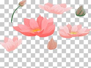 310x230 Page Lotus Vector Png Cliparts For Free Download Uihere