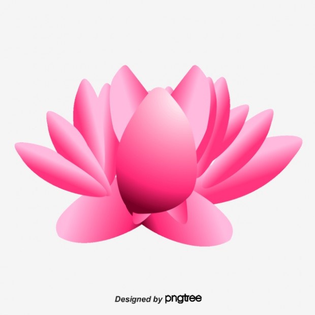 620x620 Pink Lotus, Lotus Vector, Buddhism, Lotus Png And Vector