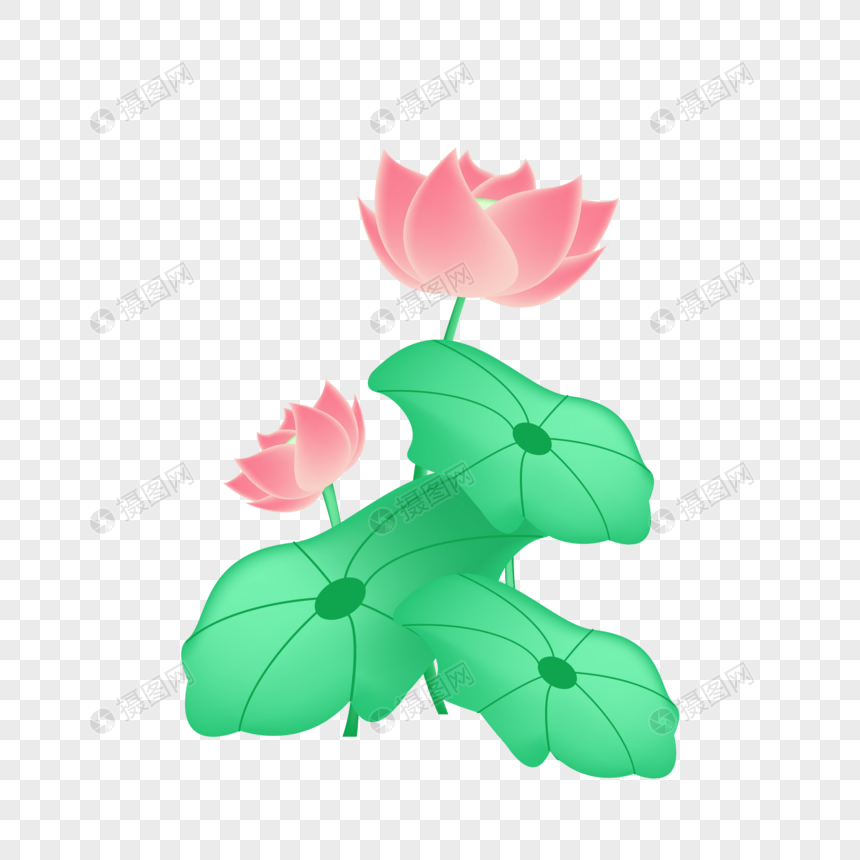 860x860 Realistic Lotus Vector Material Png Image Picture Free Download