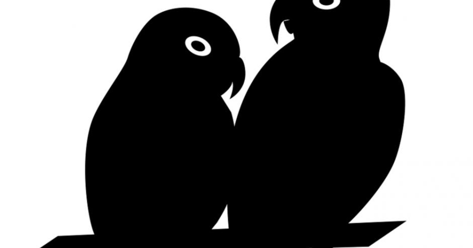 940x493 Love Bird Silhouette Laptop Wallpapers
