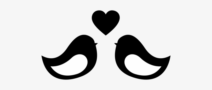 820x350 Love Birds Silhouette